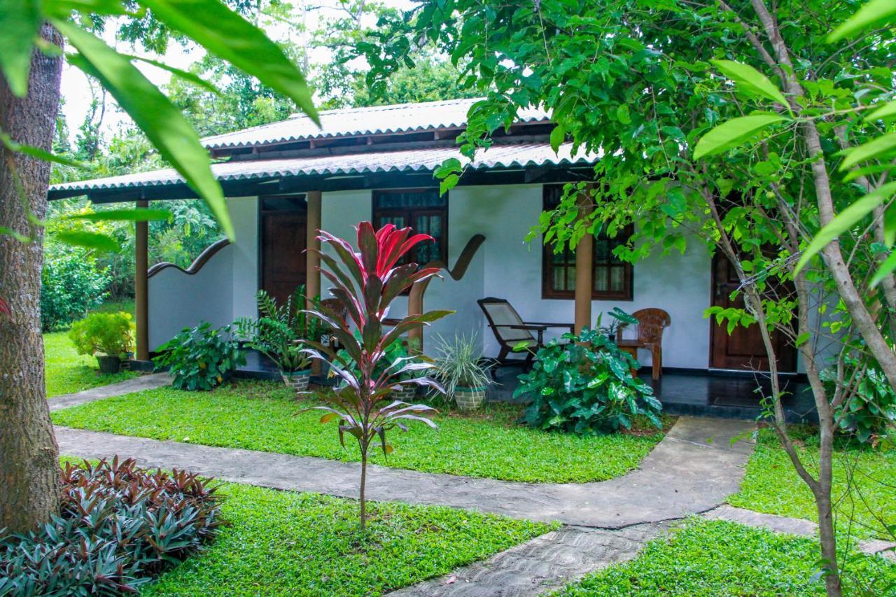 Nimsara Lodge Sigiriya Exteriör bild