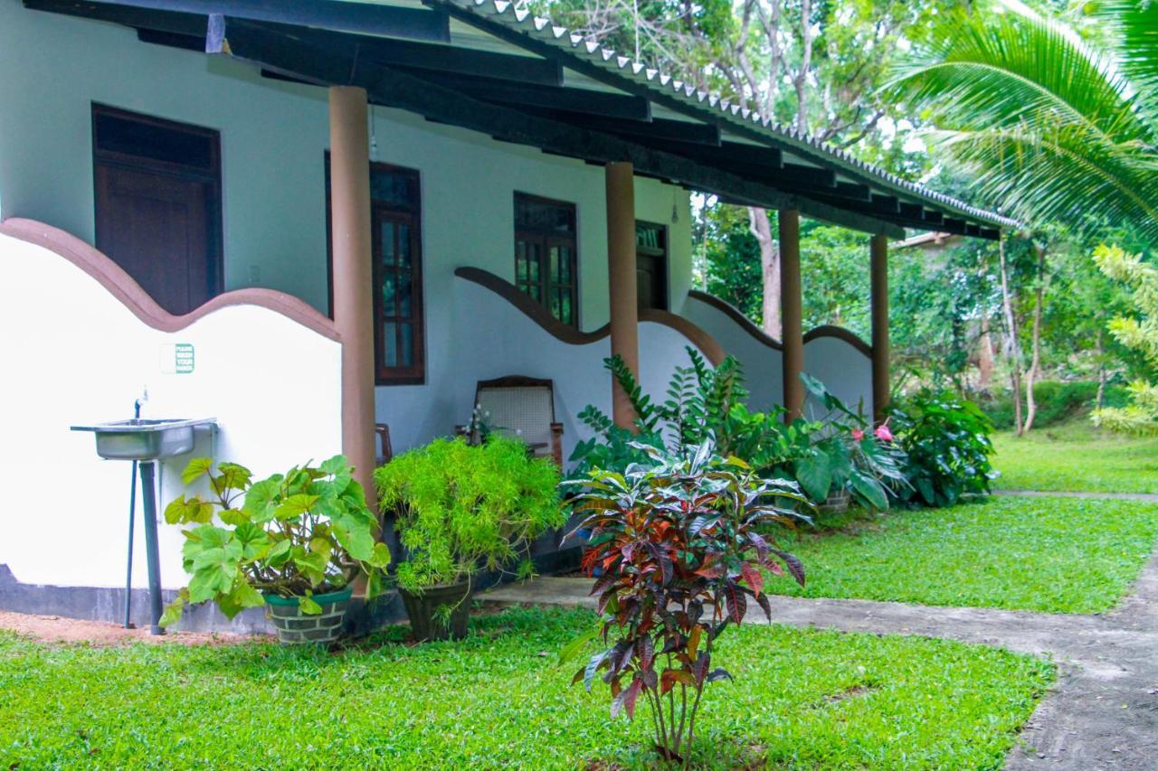 Nimsara Lodge Sigiriya Exteriör bild