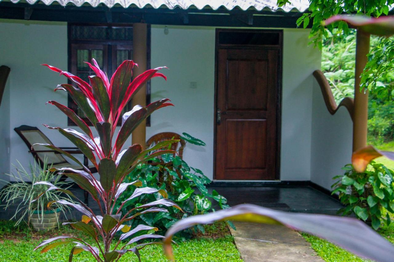 Nimsara Lodge Sigiriya Exteriör bild