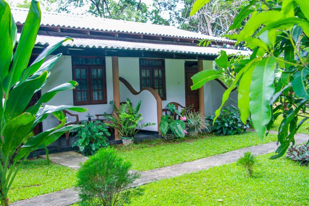 Nimsara Lodge Sigiriya Exteriör bild