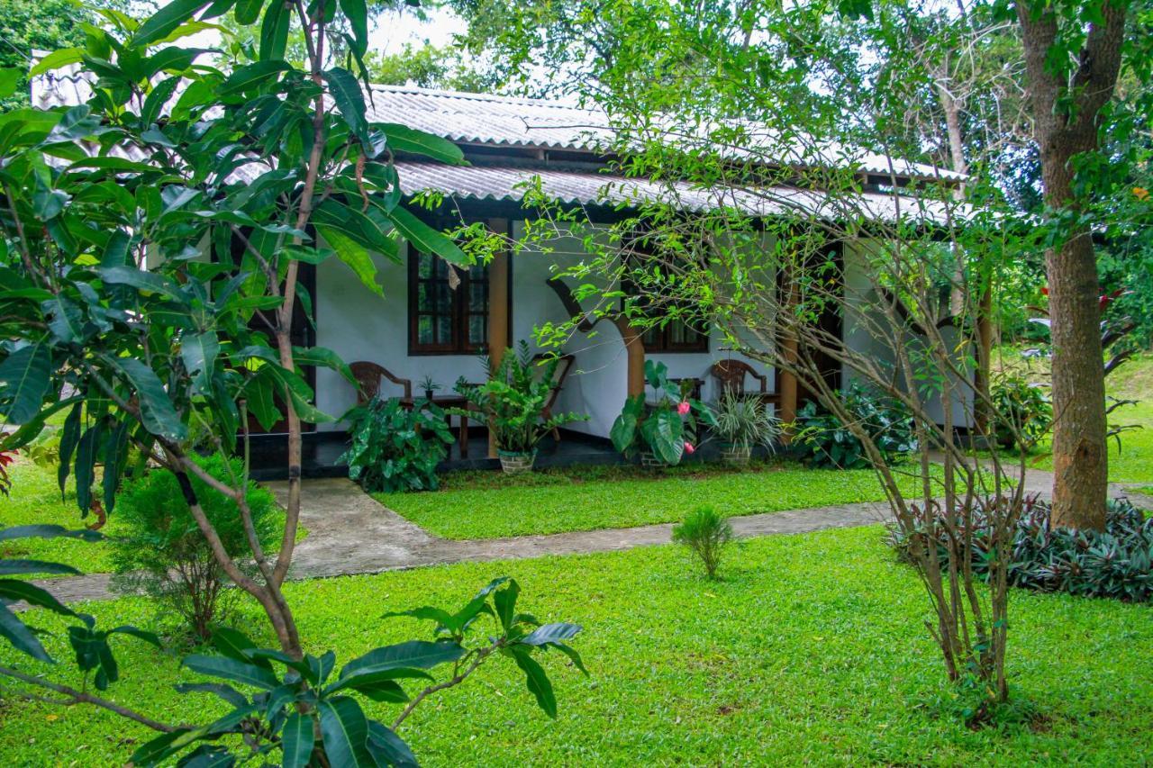 Nimsara Lodge Sigiriya Exteriör bild