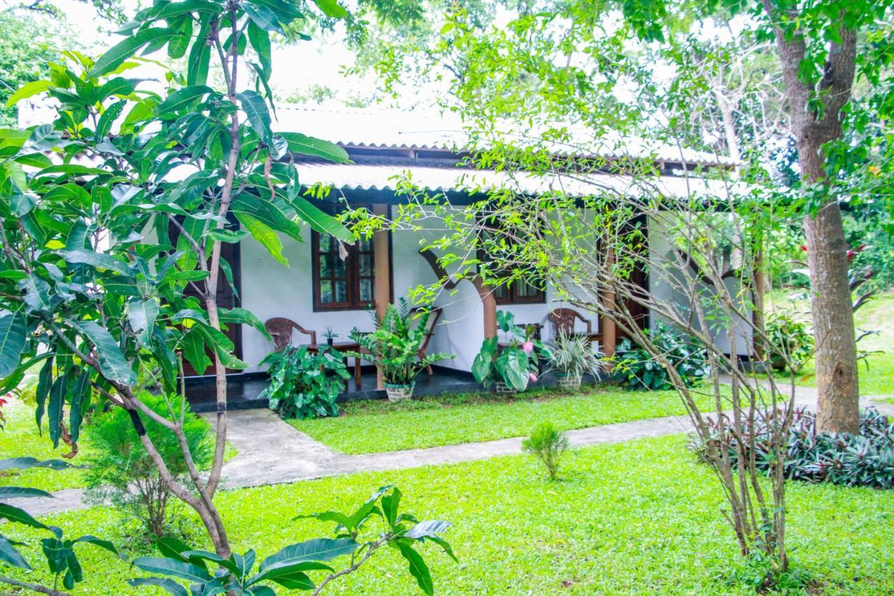 Nimsara Lodge Sigiriya Exteriör bild