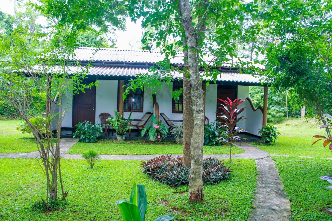 Nimsara Lodge Sigiriya Exteriör bild