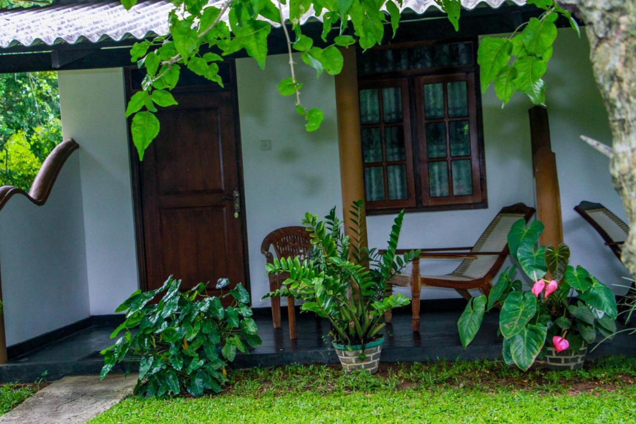 Nimsara Lodge Sigiriya Exteriör bild
